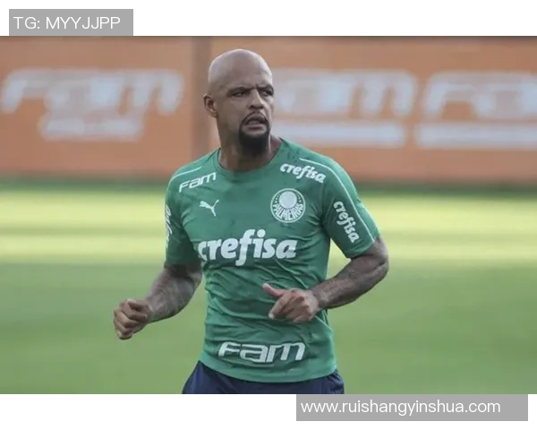 身板魁梧的足球明星如何在赛场上展现力量与技巧的完美结合