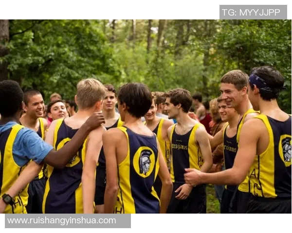 武汉篮球队心理素质排名第九揭示球队背后的心理训练与成长之路